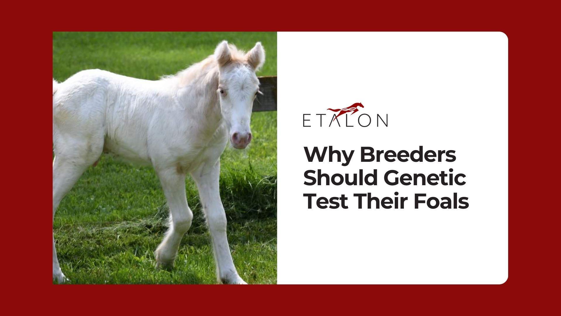 Etalon News & Media Article